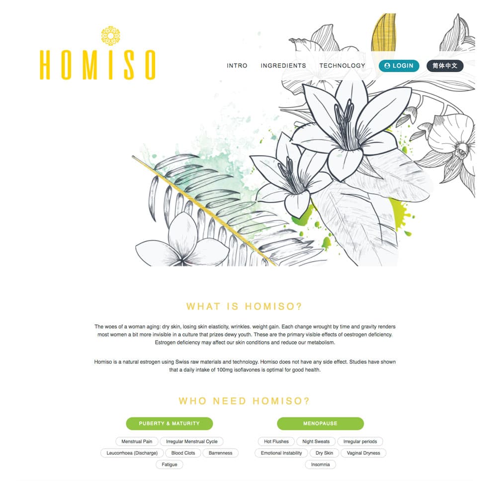Homiso — project image 1 of 4